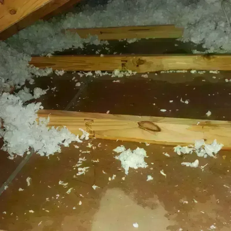 Attic Water Damage in Metlakatla, AK