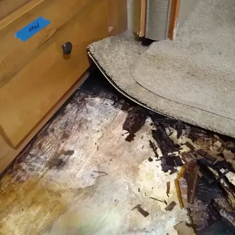 Wood Floor Water Damage in Metlakatla, AK